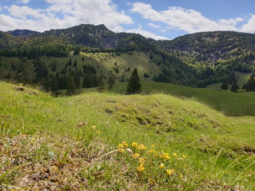 Schildenstein über Königsalm