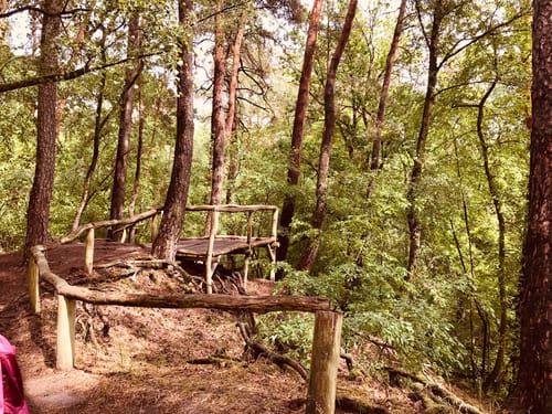 Naturpfad am Glasowbach - Krumme Lanke