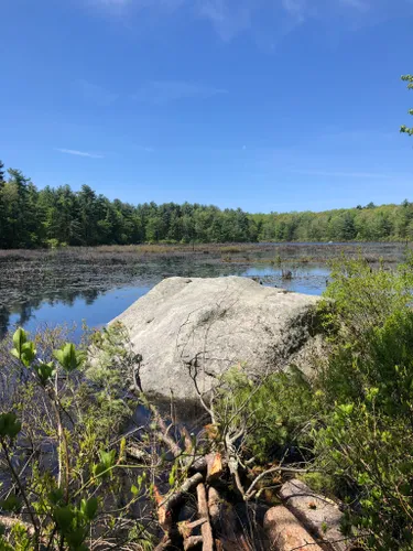 10 Best Trails and Hikes in Foxborough | AllTrails