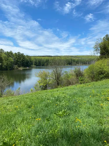 Best Hikes and Trails in Stony Pond State Forest | AllTrails