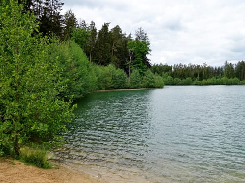 Neunkirchen am Sand: Rundwanderweg Blau 4