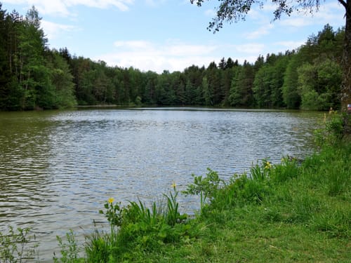 Radtour: Sandgrube Hammerand - Weiher