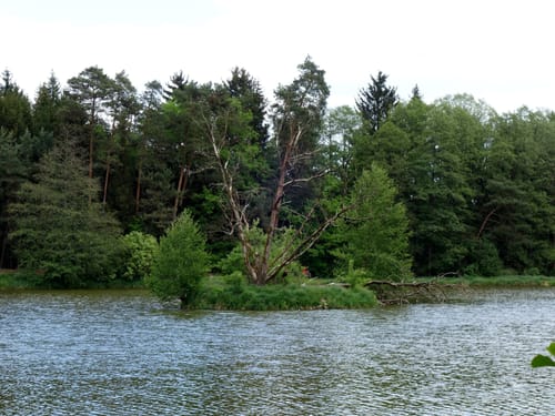 Neunkirchen am Sand Rundwanderweg Rot 3