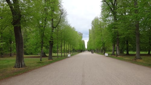 Ludwiglust