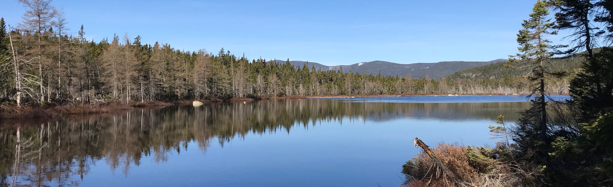 Ethan Pond Trail - New Hampshire | AllTrails