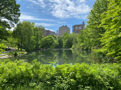 Best Hikes and Trails in Central Park | AllTrails