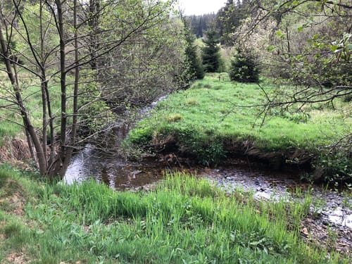 Vogelsberg Rundwanderweg A4