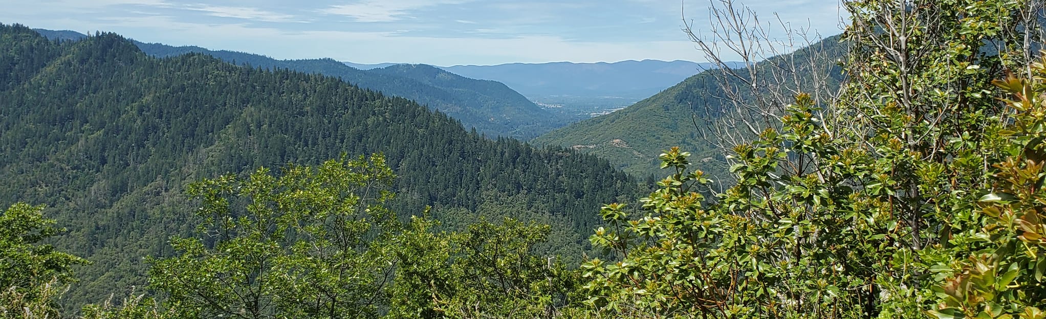 Mountain of the Rogue Loop 103 - EyJidWNrZXQiOiJhc3NldHMuYWxsdHJhaWxzLmNvbSIsImtleSI6InVwbG9hZHMvcGhvdG8vaW1hZ2UvMjY2MzY0NzEvMTM4N2M1MjFhY2YwNzkzZGJkMmJlNDg4ZGViNDI2OTEuanBnIiwiZWRpdHMiOnsidG9Gb3JtYXQiOiJqcGVnIiwicmVzaXplIjp7IndpZHRoIjoyMDQ0LCJoZWlnaHQiOjYyNCwiZml0IjoiY292ZXIifSwicm90YXRlIjpudWxsLCJqcGVnIjp7InRyZWxsaXNRdWFudGlzYXRpb24iOnRydWUsIm92ZXJzaG9vdERlcmluZ2luZyI6dHJ1ZSwib3B0aW1pc2VTY2FucyI6dHJ1ZSwicXVhbnRpc2F0aW9uVGFibGUiOjN9fX0=