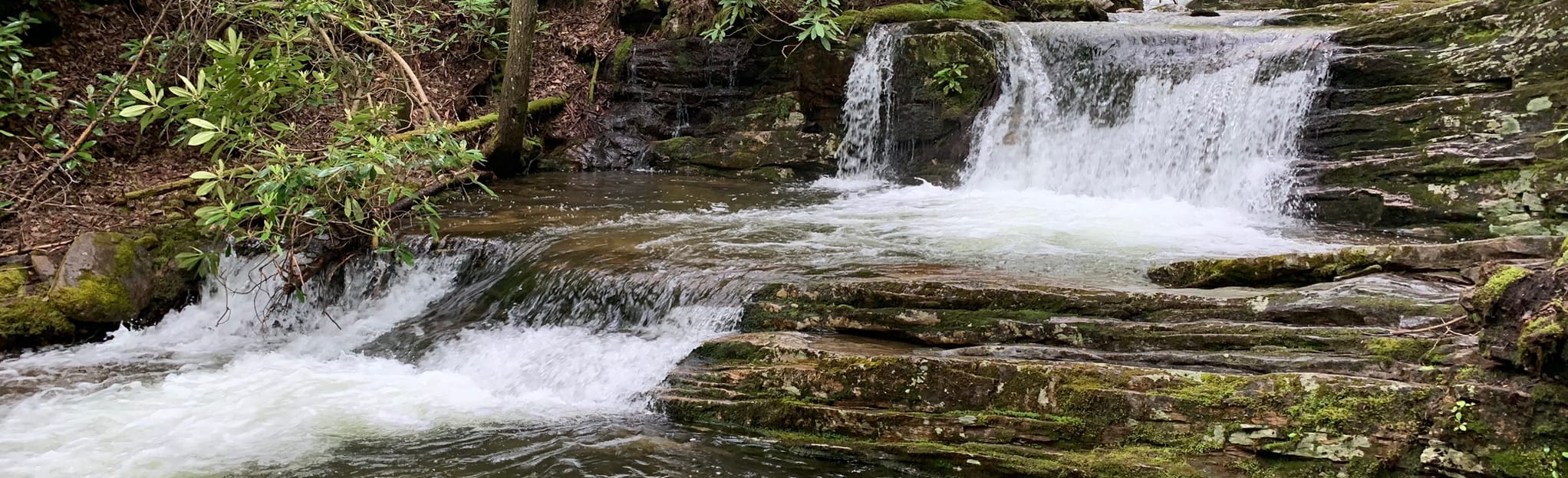 Red Fork Falls Trail, 405 Fotos Tennessee AllTrails