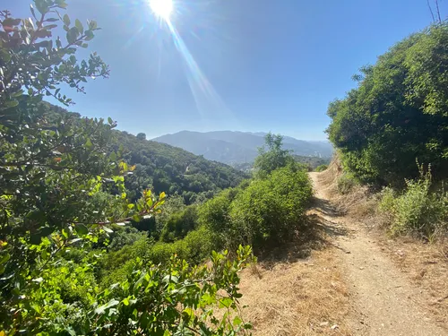 10 Best Trails and Hikes in Glendale