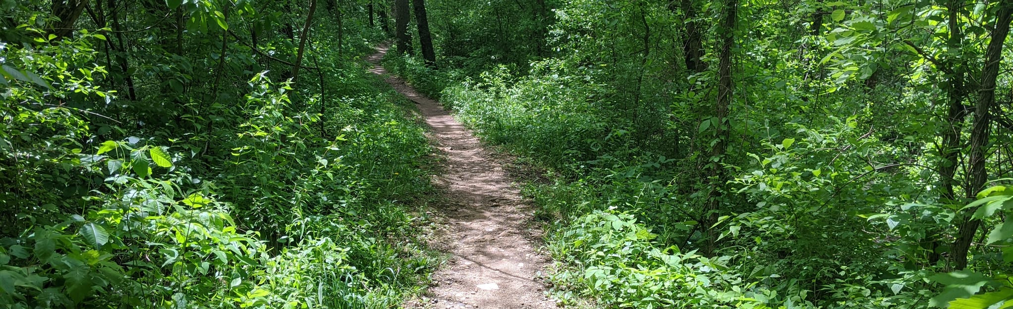 Saw Wee Kee Trail 568 fotos Illinois AllTrails