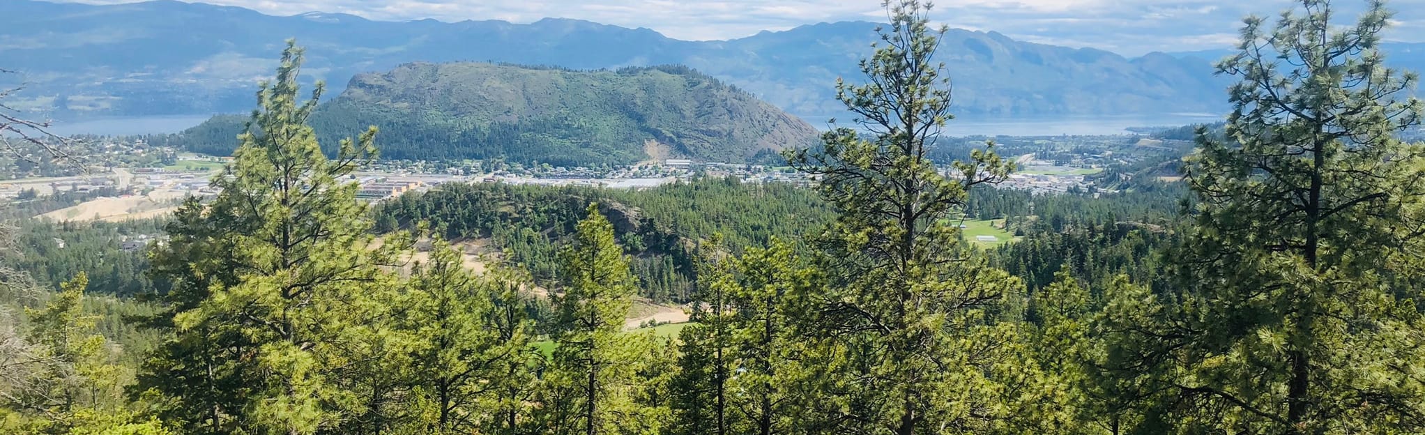 McDougall Rim and Hayman Lake OHV Loop 33 Reviews, Map British