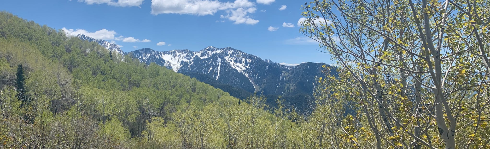 Lambs Canyon Trail, Utah 670 Reviews, Map AllTrails