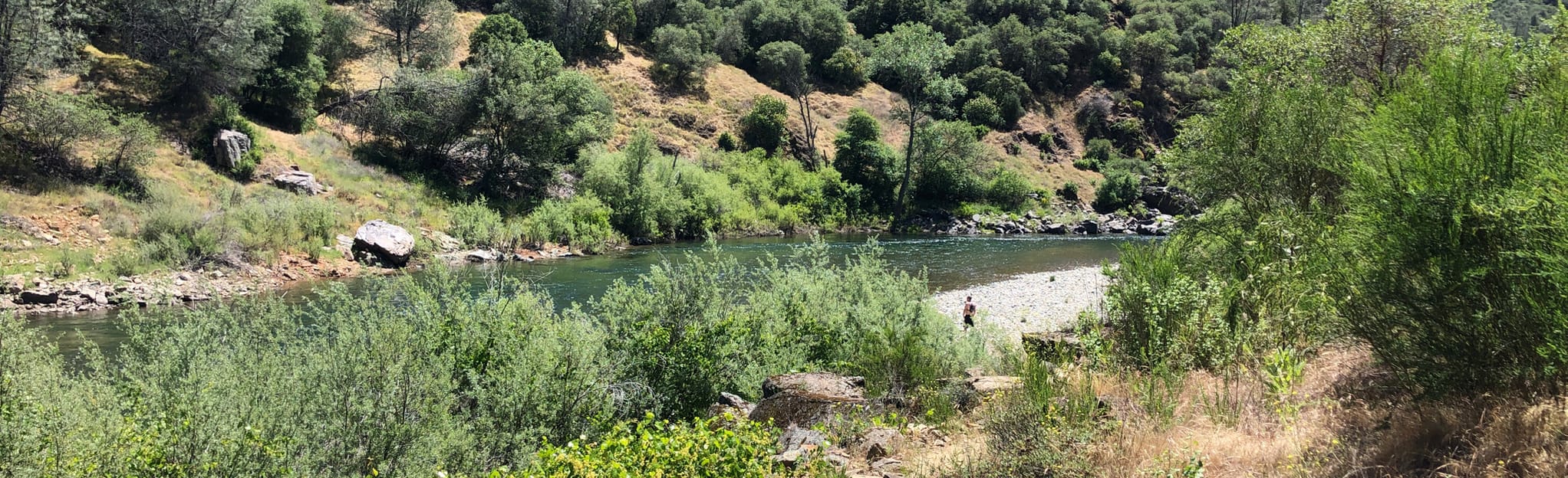Robie Point Firebreak, Tamaroo Bar Trail, Contour Trail Loop