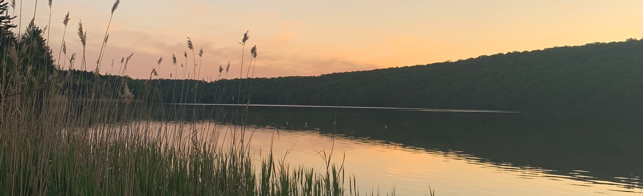 Lake Saltonstall Loop, Connecticut 59 Reviews, Map AllTrails