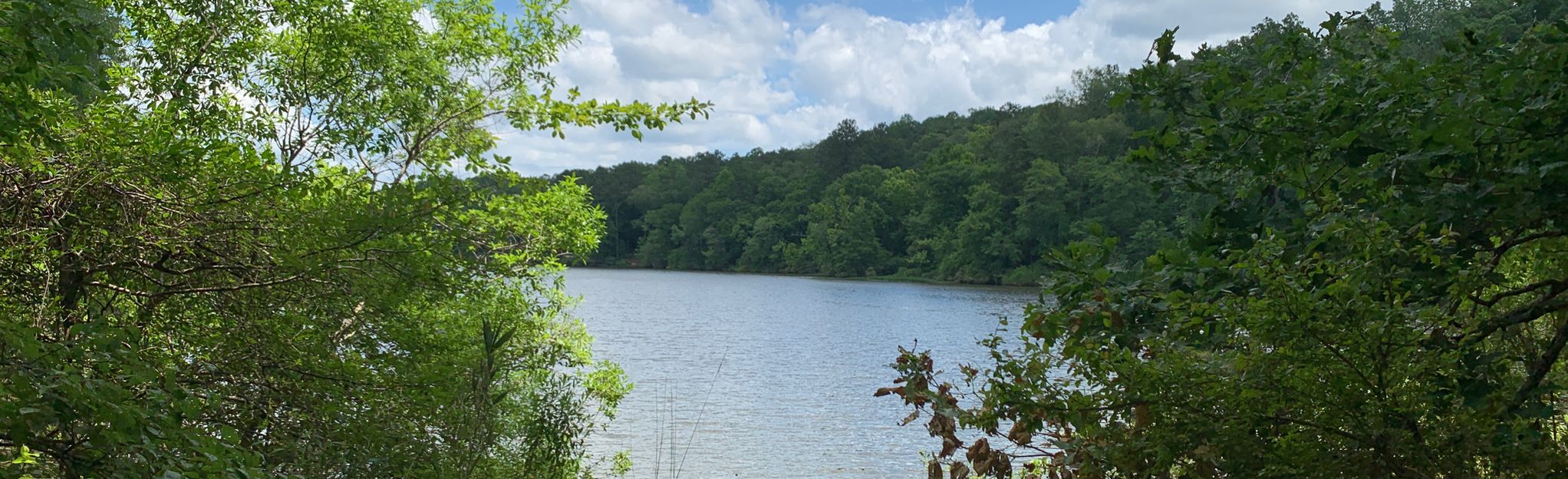 Wood Duck Trail 24 Reviews, Map Alabama AllTrails