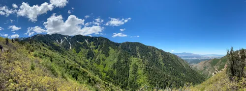 se permiten perros en el bosque nacional uinta wasatch cache