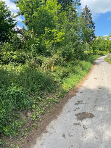 Balver Wald Rundweg