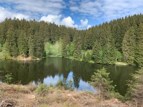 Aus dem Spiegeltal zum Bocksberg