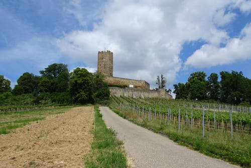 Kraichgau-Stromberg: Burgen-Tour 