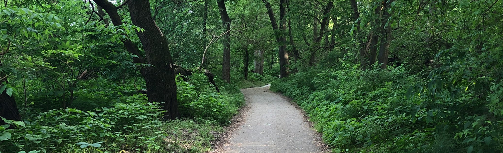 Wabash Heritage Trail West Bank, Indiana 80 Reviews, Map AllTrails