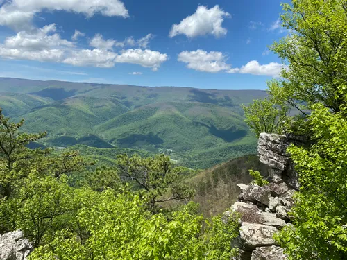 10 Best Hikes and Trails in Monongahela National Forest AllTrails