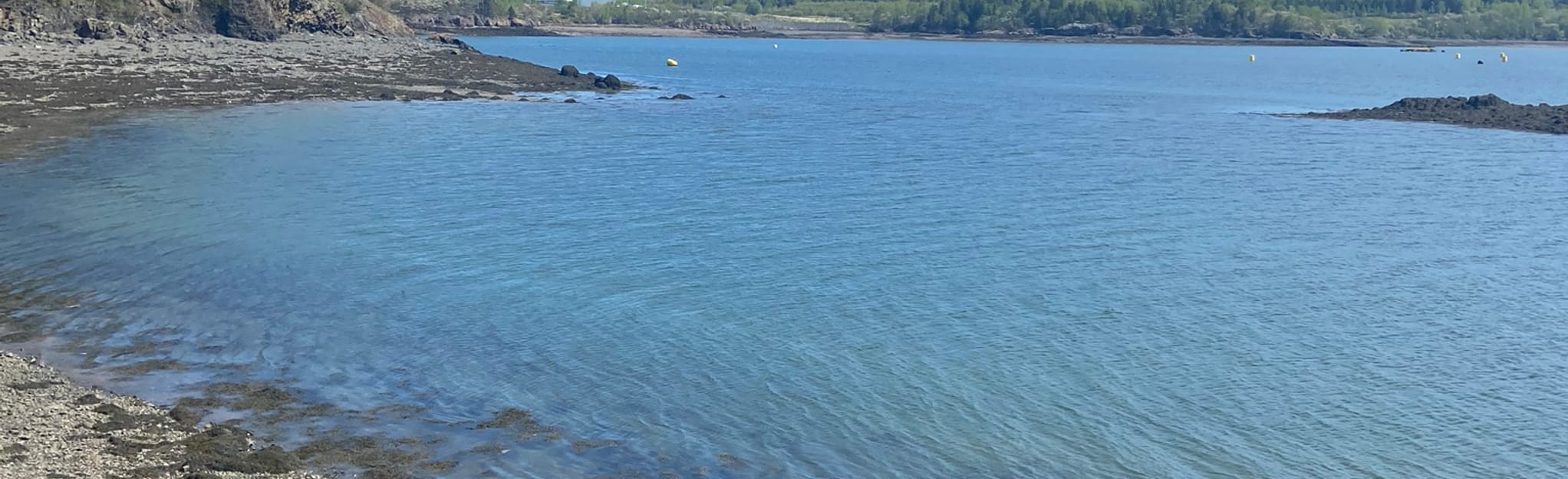 Shackford Head and Ship Point Trail, Maine 44 Reviews, Map AllTrails