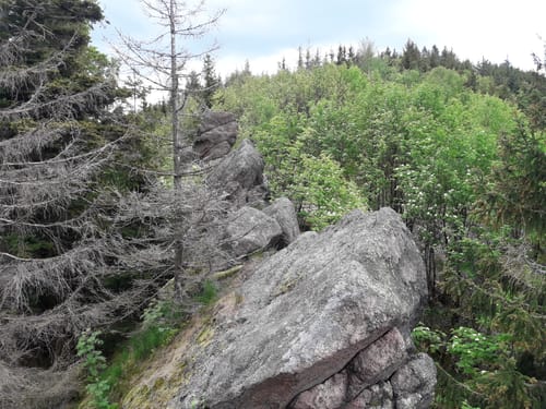 Großer Hermannsberg