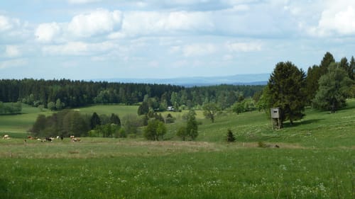Die Große Acht