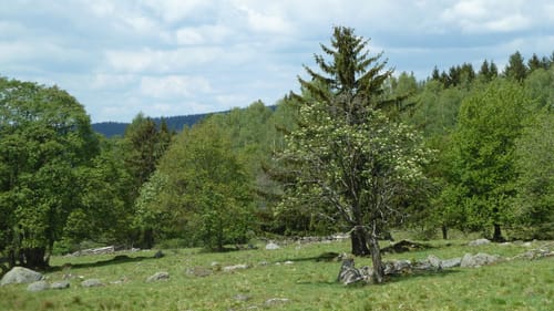 Die Große Acht