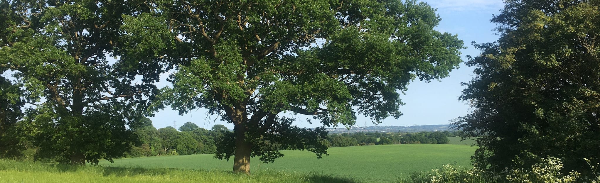 The Old Windmill South Hanningfield Way Circular, Essex, England 5