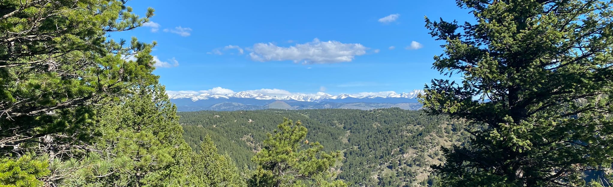 Bear Peak via Shanahan Ridge | Map, Guide - Colorado | AllTrails