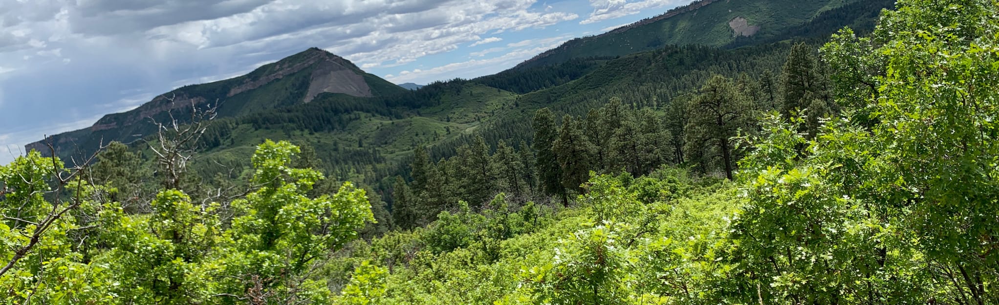 Log Chutes 1 Loop: 39 Fotos - Colorado | AllTrails