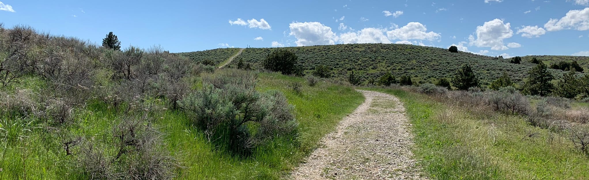 Four Dances Rim Loop, Montana - 354 Reviews, Map | AllTrails