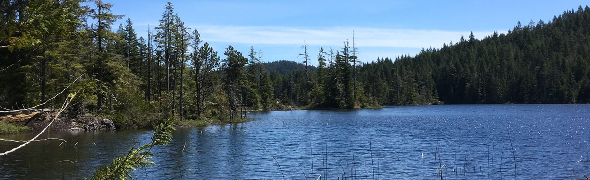 Shields Lake Campsite Trail via Grass Lake Trail, British Columbia
