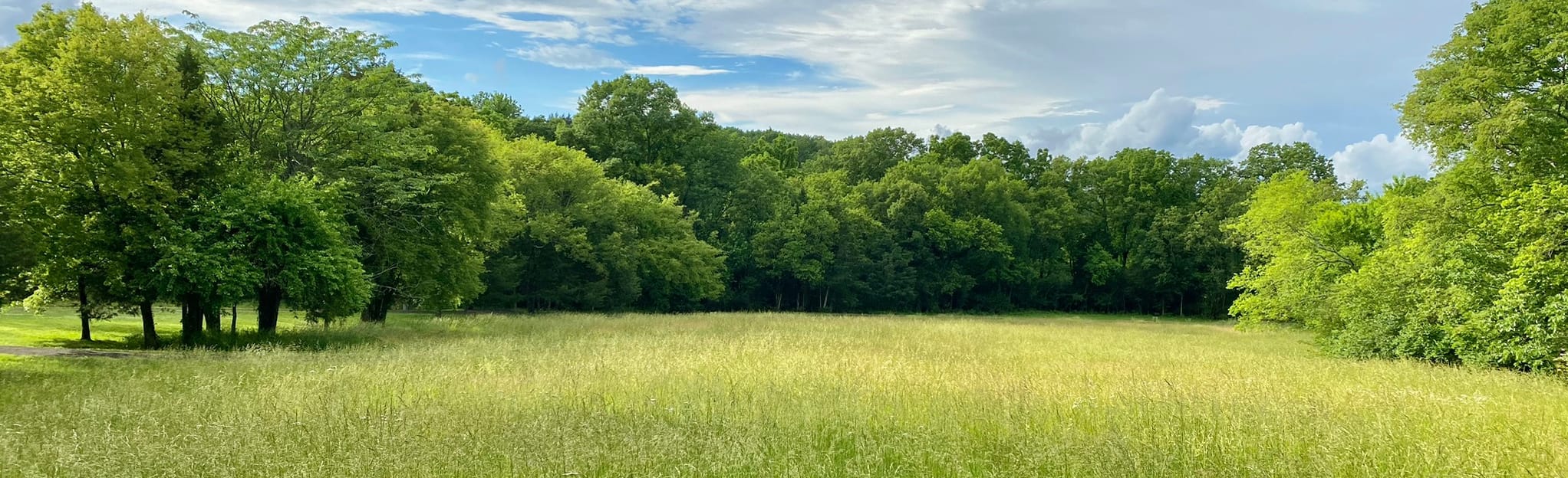 Winstead Hill Park Loop, Tennessee 91 Reviews, Map AllTrails