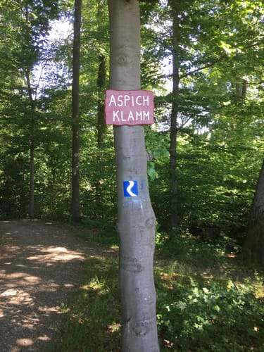 Rheinsteig Etappe 11: Niederlahnstein - Braubach
