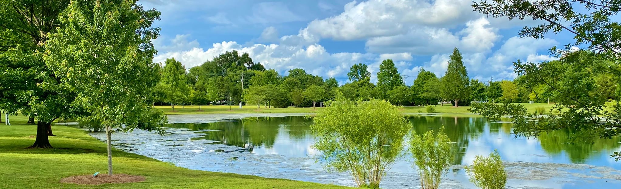 Jim Warren Park Trail, Tennessee 30 Reviews, Map AllTrails