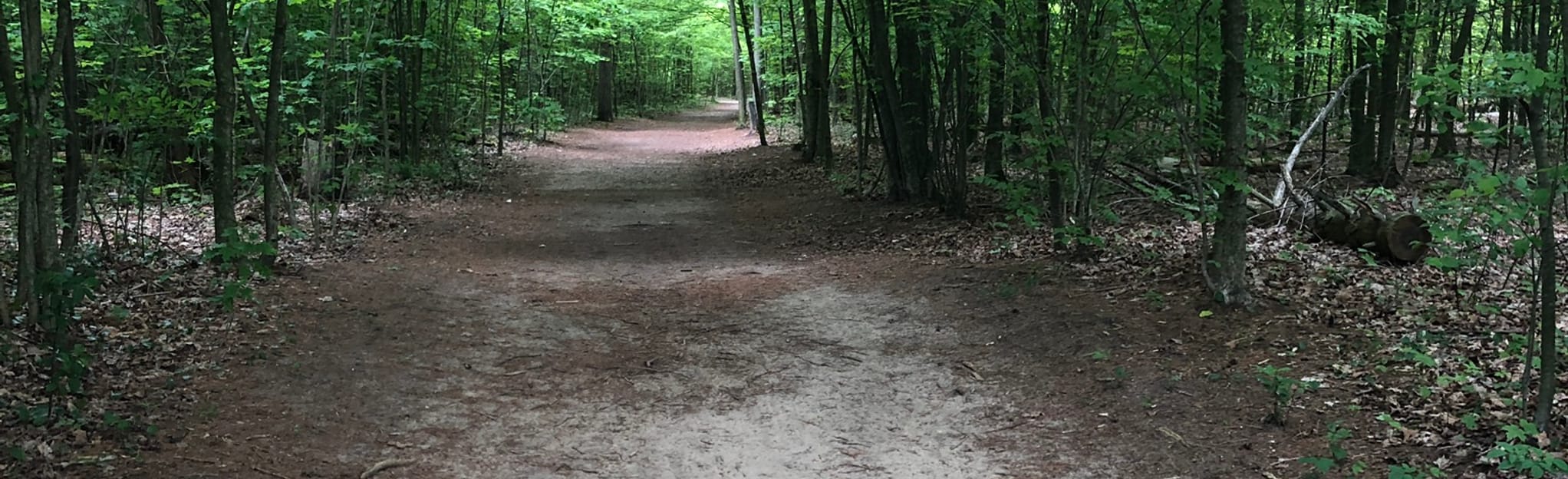 Keppel Forest, Michigan 39 Reviews, Map AllTrails