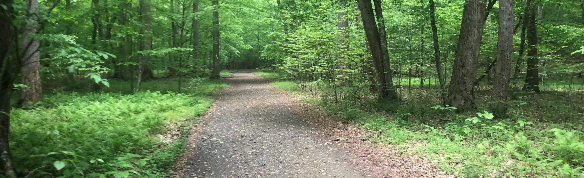 Turkey Run Ridge, North and South Valley Loop, Virginia 408 Reviews