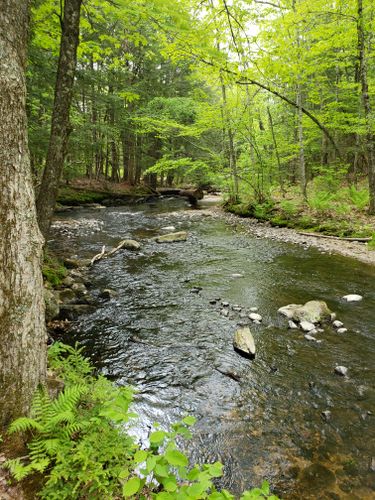 mill brook preserve