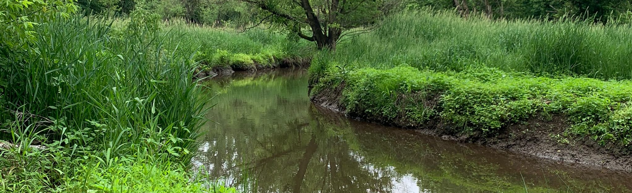 Wenonah Woods East Side Trail, New Jersey 158 Reviews, Map AllTrails