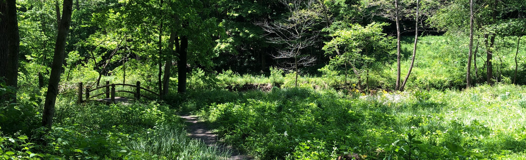 Cliff Trail, Illinois 48 Reviews, Map AllTrails