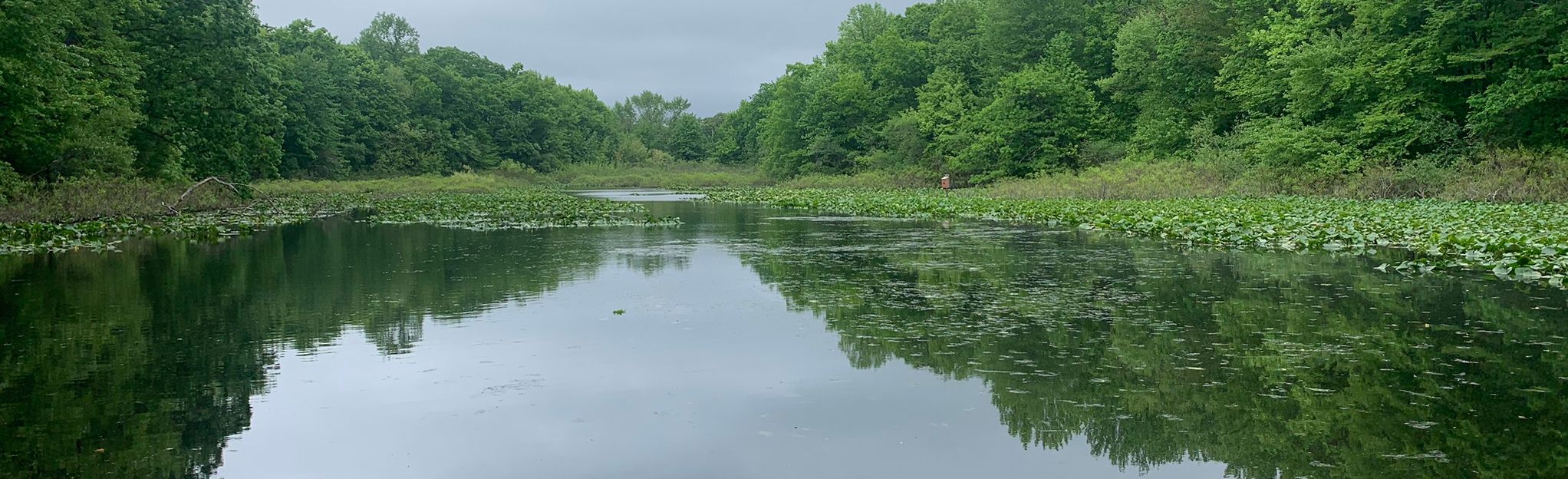 Tenafly Nature Center Yellow, Red, and White Loop, New Jersey - 69 ...