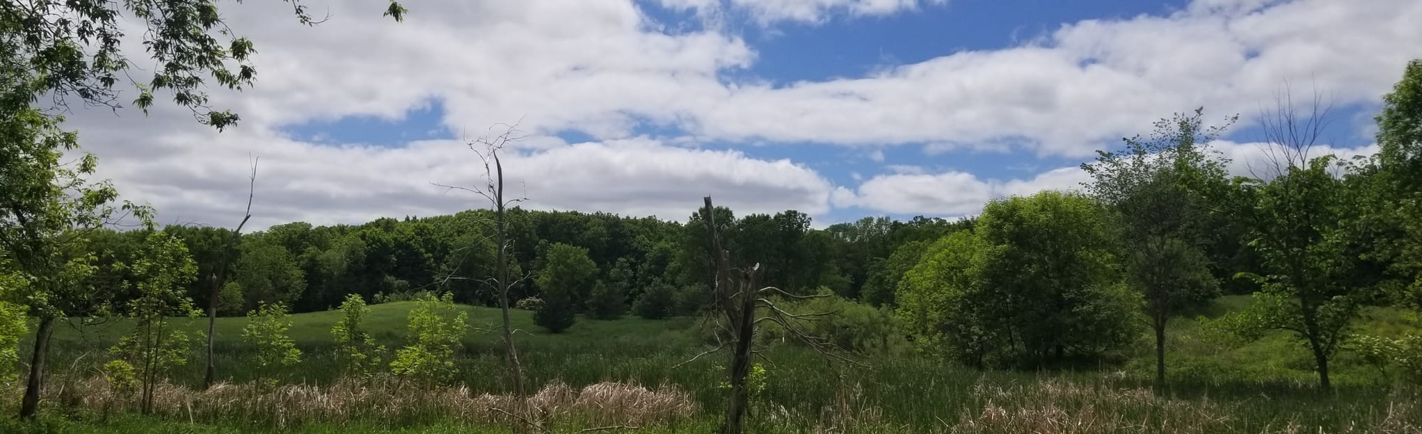 Baker Park Preserve, Minnesota 708 Reviews, Map AllTrails