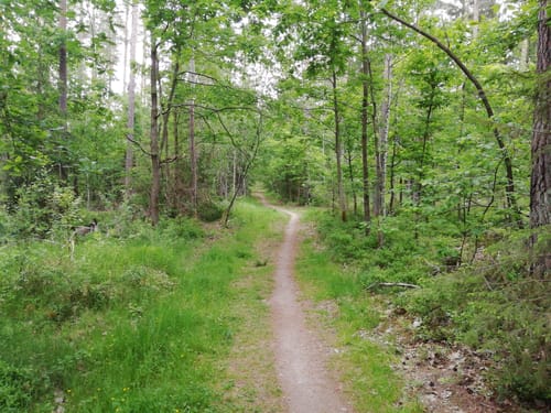 Moritzbergrunde