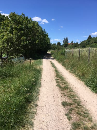 Gau-Algesheim: Dreibächeweg