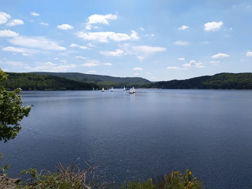 Um den Rursee