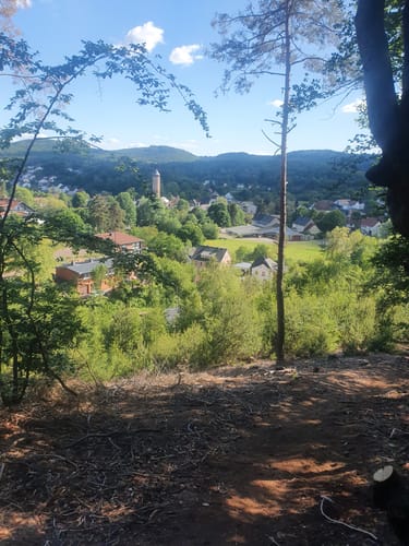 Kurzer Nohfelden Bärenpfad