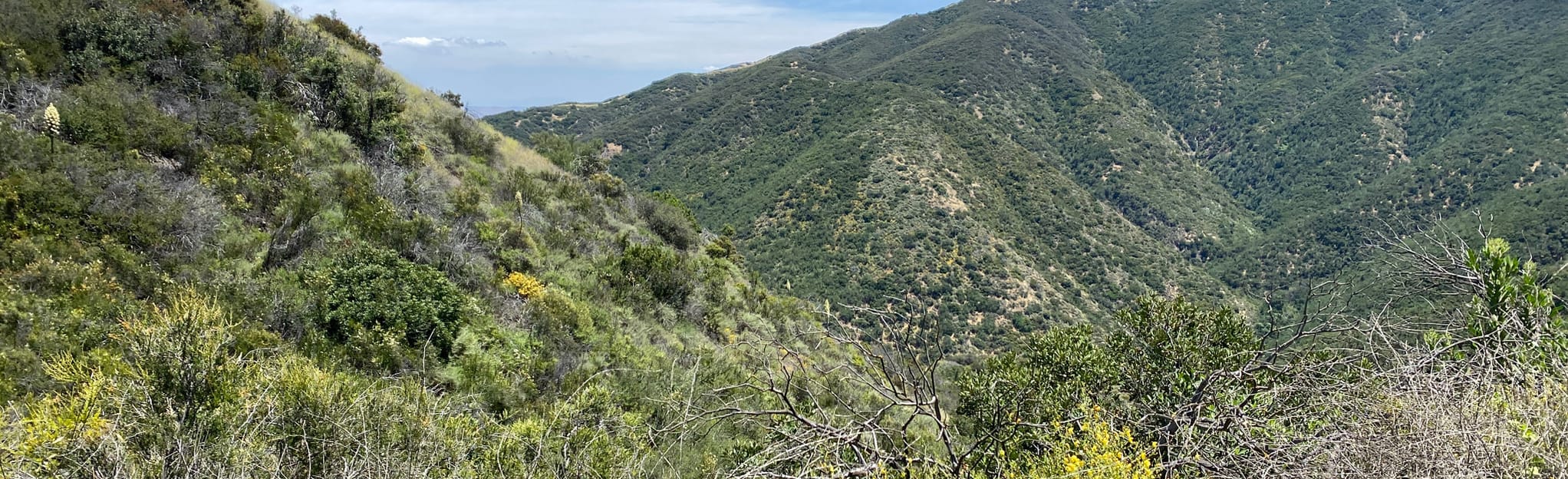 Skyline Trail and Skinsuit Trail Loop, California 757 Reviews, Map